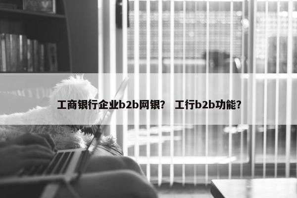 工商银行企业b2b网银？ 工行b2b功能？