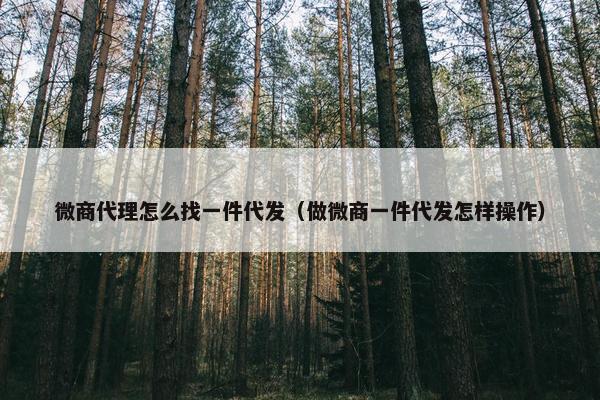 微商代理怎么找一件代发（做微商一件代发怎样操作）