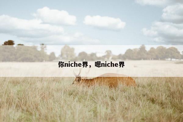 你niche界，嗯niche界