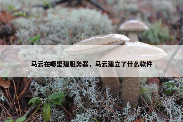 马云在哪里建服务器，马云建立了什么软件