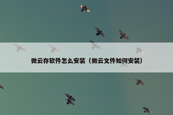 微云存软件怎么安装（微云文件如何安装）