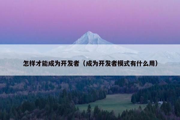 怎样才能成为开发者（成为开发者模式有什么用）