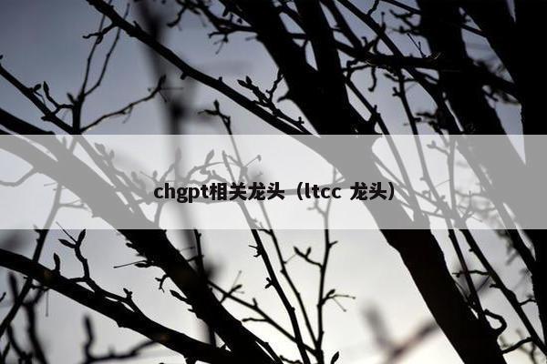 chgpt相关龙头（ltcc 龙头）