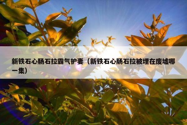 新铁石心肠石拉霸气护妻（新铁石心肠石拉被埋在废墟哪一集）
