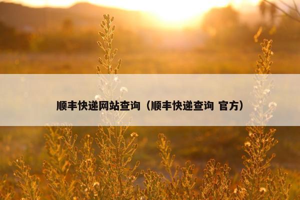 顺丰快递网站查询（顺丰快递查询 官方）