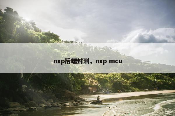 nxp后端封测，nxp mcu