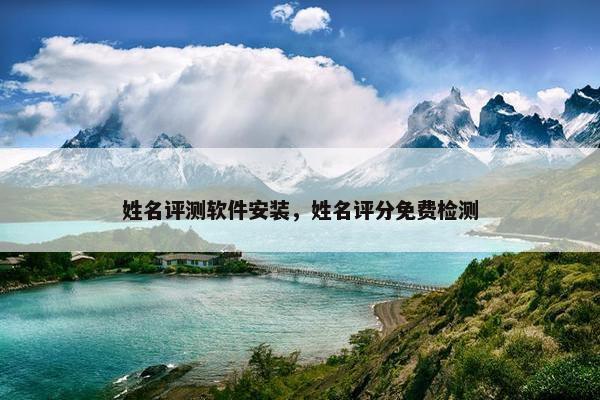 姓名评测软件安装，姓名评分免费检测