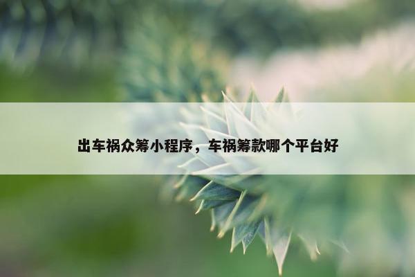 出车祸众筹小程序，车祸筹款哪个平台好