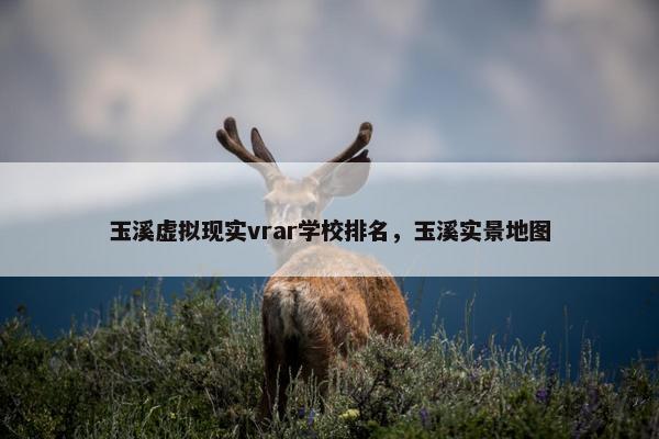 玉溪虚拟现实vrar学校排名，玉溪实景地图