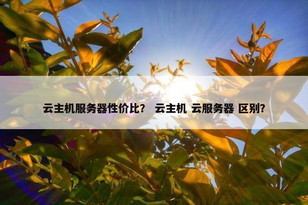 云主机服务器性价比？ 云主机 云服务器 区别？