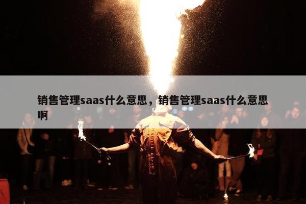 销售管理saas什么意思，销售管理saas什么意思啊