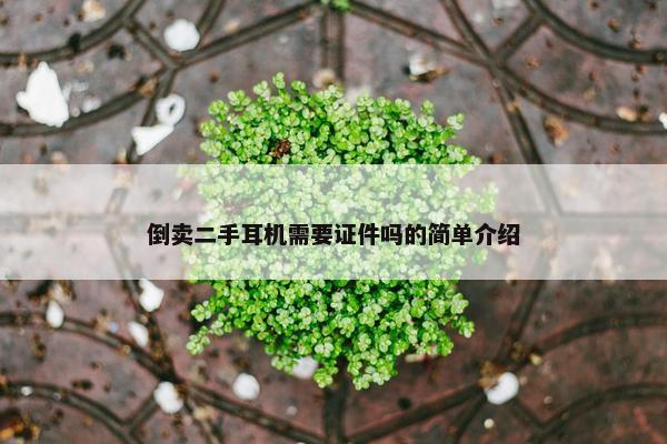 倒卖二手耳机需要证件吗的简单介绍