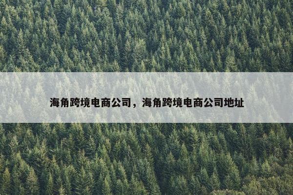 海角跨境电商公司，海角跨境电商公司地址