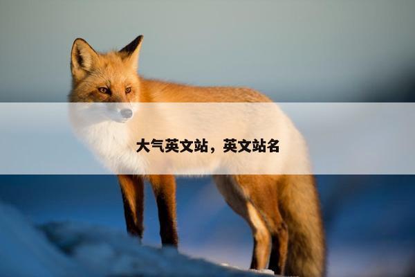 大气英文站，英文站名