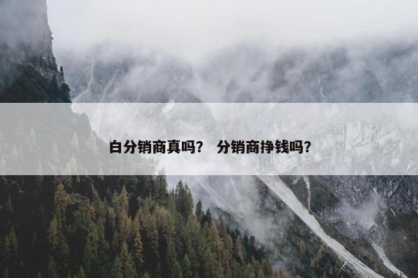 白分销商真吗？ 分销商挣钱吗？