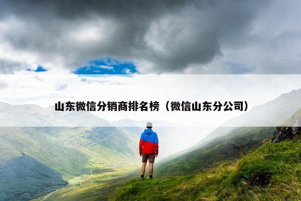 山东微信分销商排名榜（微信山东分公司）