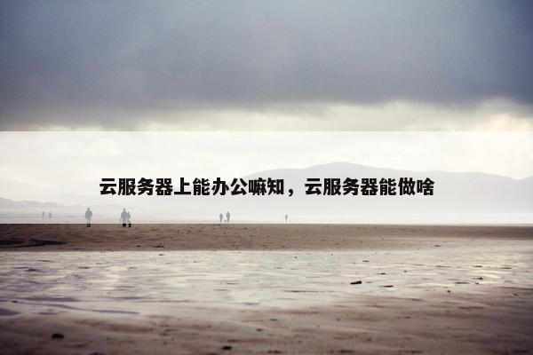 云服务器上能办公嘛知，云服务器能做啥