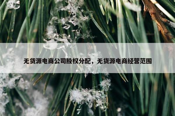 无货源电商公司股权分配，无货源电商经营范围
