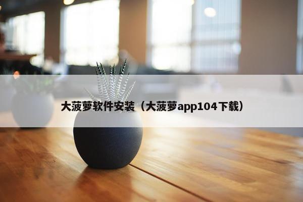 大菠萝软件安装（大菠萝app104下载）