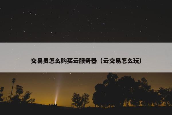 交易员怎么购买云服务器（云交易怎么玩）