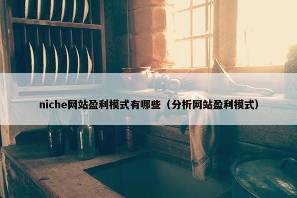 niche网站盈利模式有哪些（分析网站盈利模式）