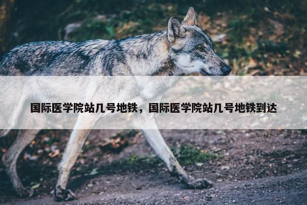 国际医学院站几号地铁，国际医学院站几号地铁到达