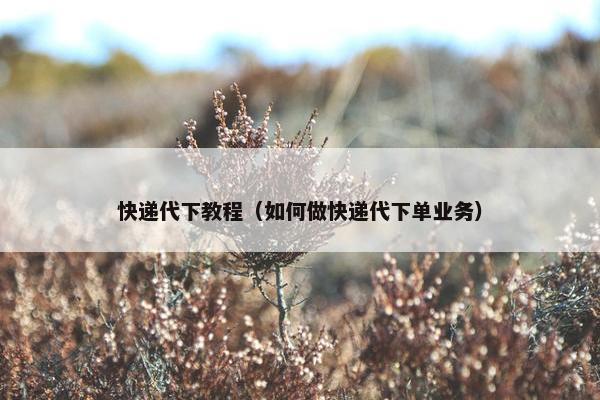 快递代下教程（如何做快递代下单业务）