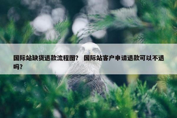 国际站缺货退款流程图？ 国际站客户申请退款可以不退吗？