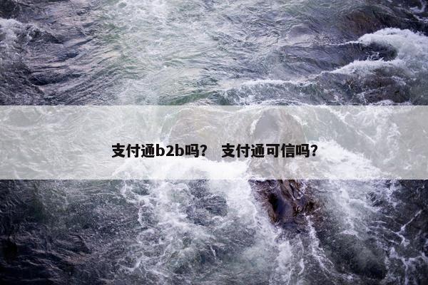 支付通b2b吗？ 支付通可信吗？