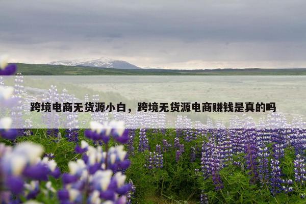 跨境电商无货源小白，跨境无货源电商赚钱是真的吗