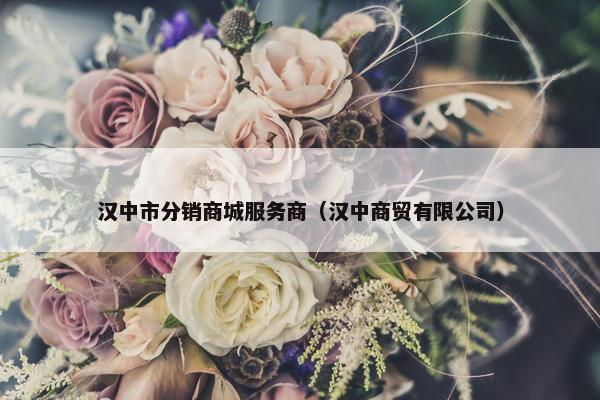 汉中市分销商城服务商（汉中商贸有限公司）