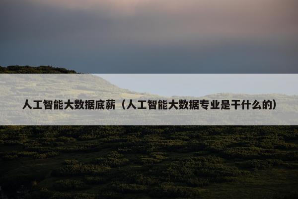 人工智能大数据底薪（人工智能大数据专业是干什么的）