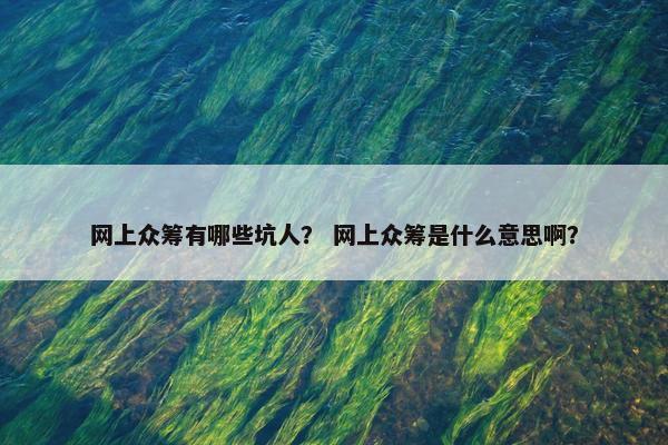网上众筹有哪些坑人？ 网上众筹是什么意思啊？