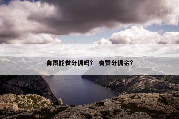 有赞能做分佣吗？ 有赞分佣金？