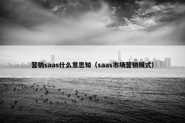 营销saas什么意思知（saas市场营销模式）