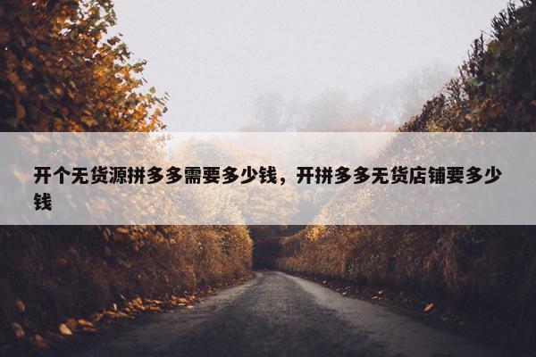开个无货源拼多多需要多少钱，开拼多多无货店铺要多少钱