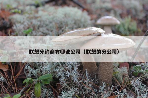 联想分销商有哪些公司（联想的分公司）