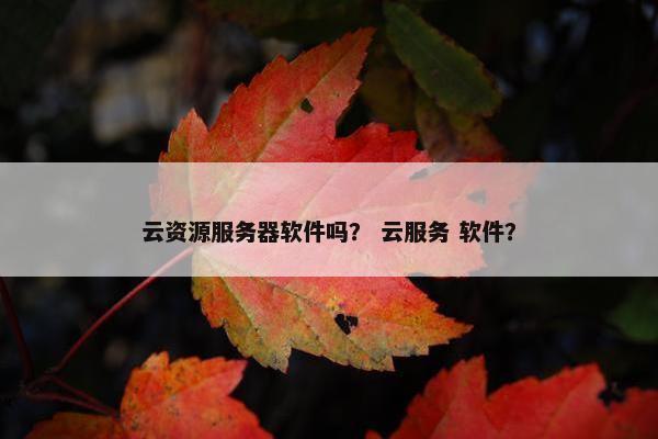 云资源服务器软件吗？ 云服务 软件？