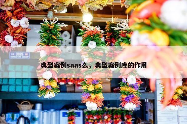 典型案例saas么，典型案例库的作用