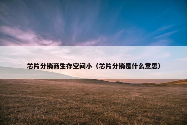 芯片分销商生存空间小（芯片分销是什么意思）