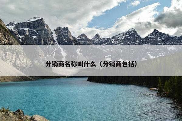 分销商名称叫什么（分销商包括）