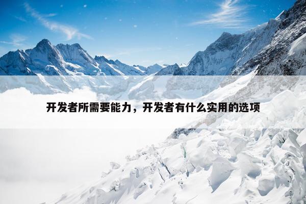 开发者所需要能力，开发者有什么实用的选项