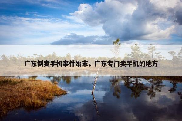 广东倒卖手机事件始末，广东专门卖手机的地方