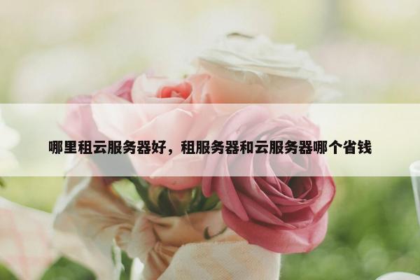 哪里租云服务器好，租服务器和云服务器哪个省钱