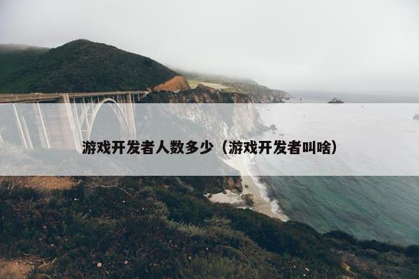 游戏开发者人数多少（游戏开发者叫啥）