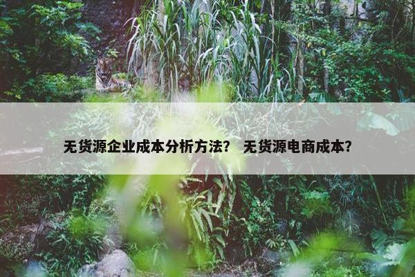 无货源企业成本分析方法？ 无货源电商成本？