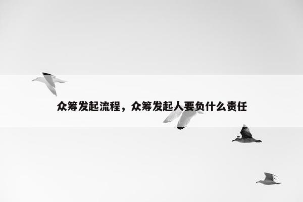 众筹发起流程，众筹发起人要负什么责任