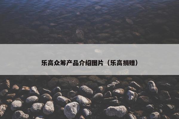 乐高众筹产品介绍图片（乐高捐赠）