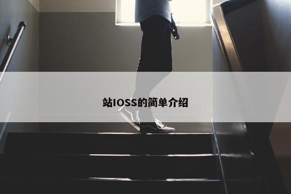 站IOSS的简单介绍
