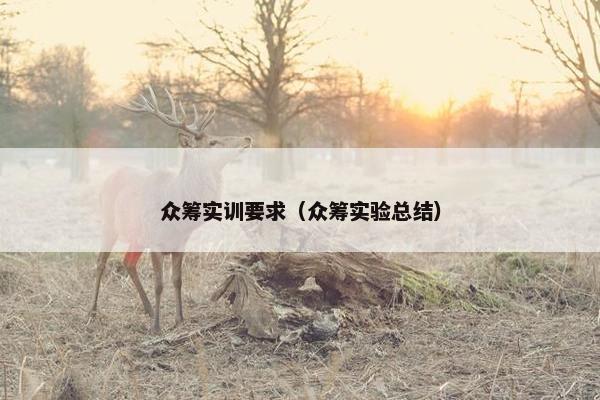 众筹实训要求（众筹实验总结）